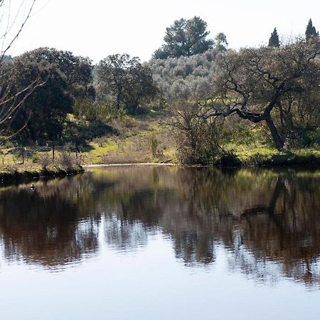 Casa Cortijo En Dehesa Sierra Leon Βίλα La Puebla de los Infantes Εξωτερικό φωτογραφία