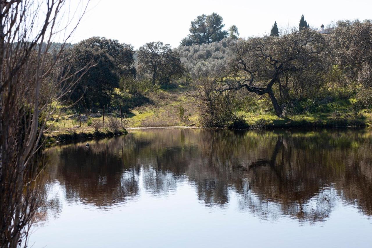 Casa Cortijo En Dehesa Sierra Leon Βίλα La Puebla de los Infantes Εξωτερικό φωτογραφία