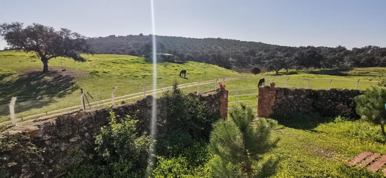Casa Cortijo En Dehesa Sierra Leon Βίλα La Puebla de los Infantes Εξωτερικό φωτογραφία