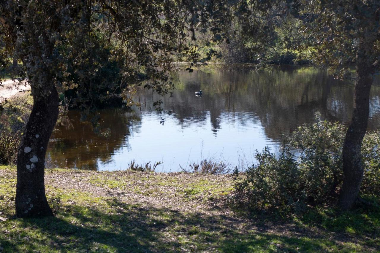 Casa Cortijo En Dehesa Sierra Leon Βίλα La Puebla de los Infantes Εξωτερικό φωτογραφία